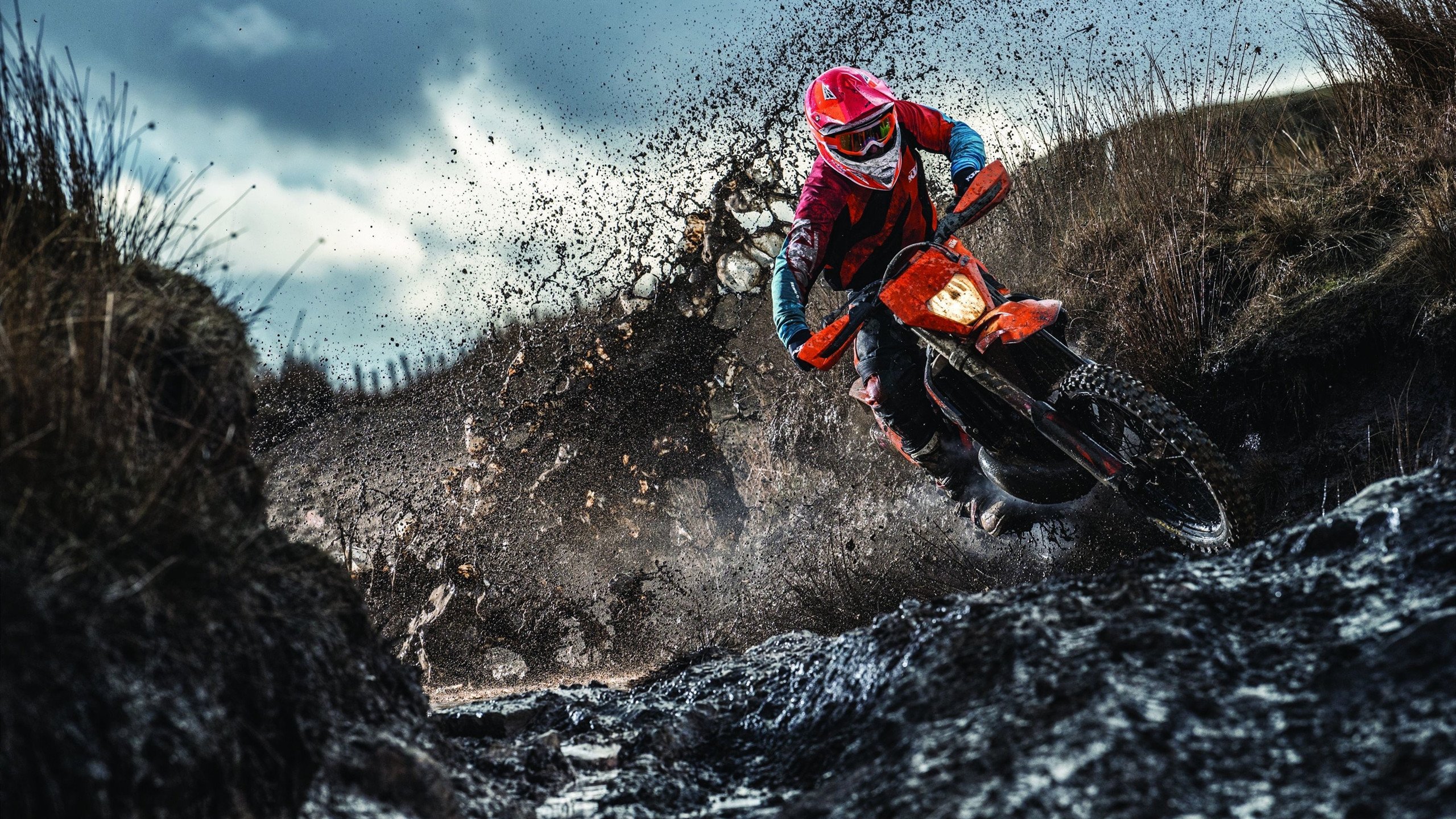 新闻中心发布人才引进计划，人才引进计划的具体要求